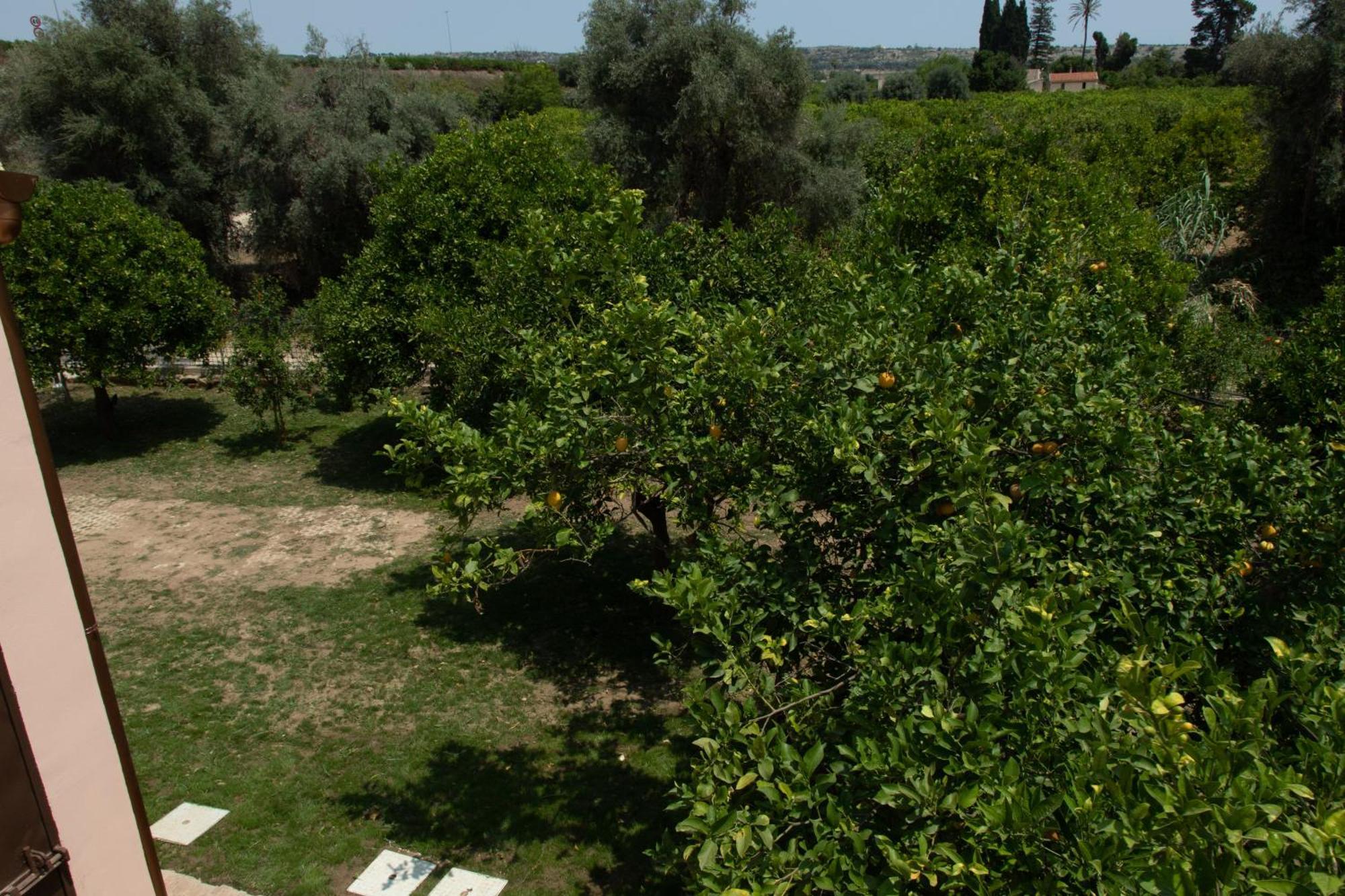Villa Tatai Country House By Dimore Trinacria بلفيديري المظهر الخارجي الصورة